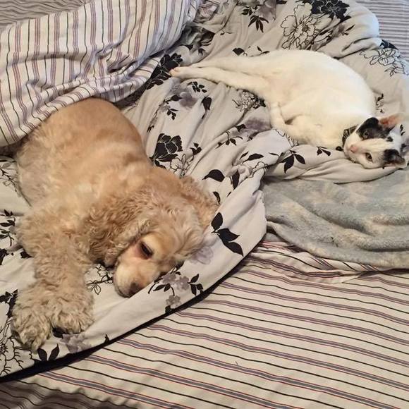 Meet your Posher, Gabrielle - Picture 1 of 1